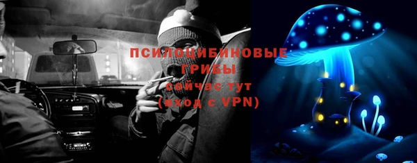 spice Бронницы