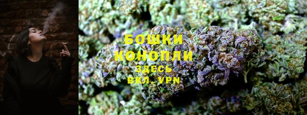 spice Бронницы