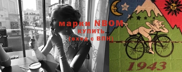 бошки Бородино