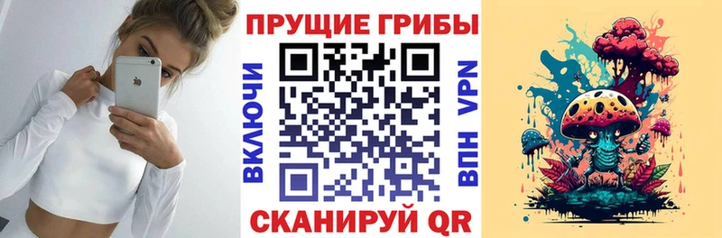 купить наркоту  Междуреченск  Галлюциногенные грибы Psilocybine cubensis 